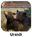 Ursidi